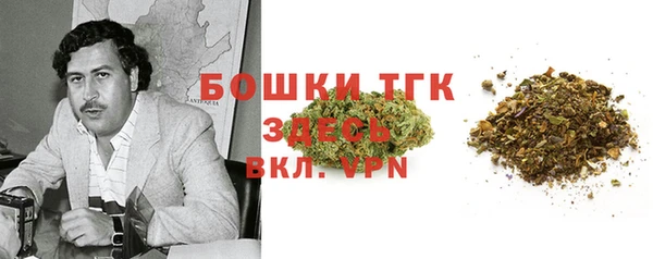 ешки Гусь-Хрустальный