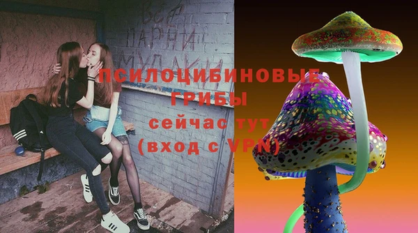ешки Гусь-Хрустальный