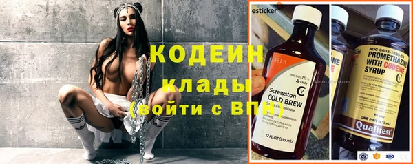 амф Гусев