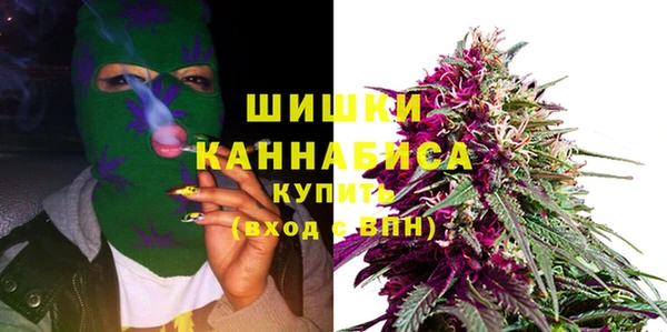 ешки Гусь-Хрустальный