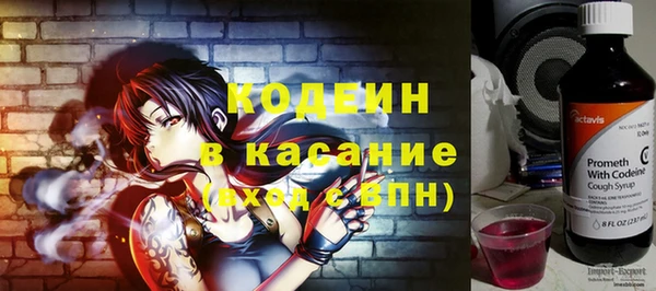 амф Гусев