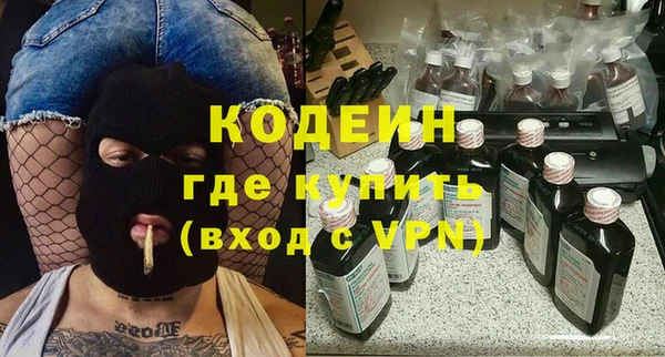 амф Гусев