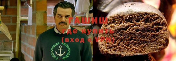 амф Гусев