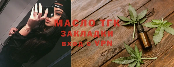 ешки Гусь-Хрустальный