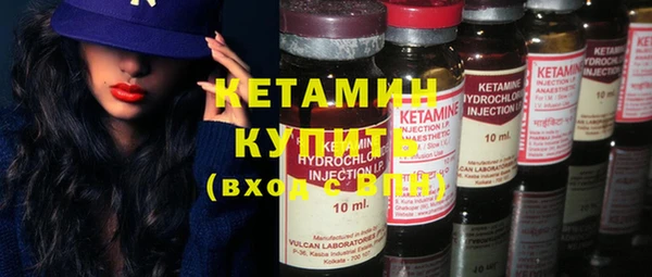 амф Гусев