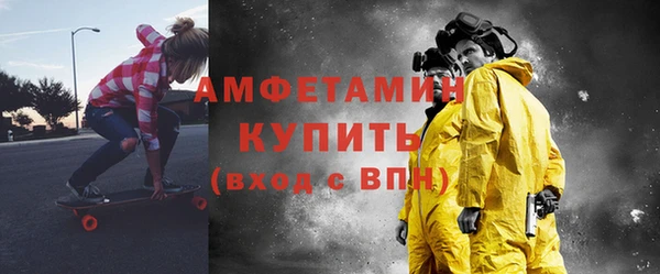 амф Гусев