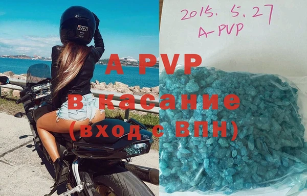 амф Гусев