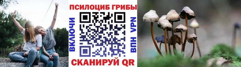 Псилоцибиновые грибы GOLDEN TEACHER  Октябрьск 